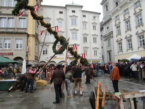 Linzer Maibaum 28.JPG